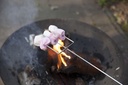 marsh mallow pin