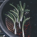 half moon ss cooking grate fish&veggie classic joe