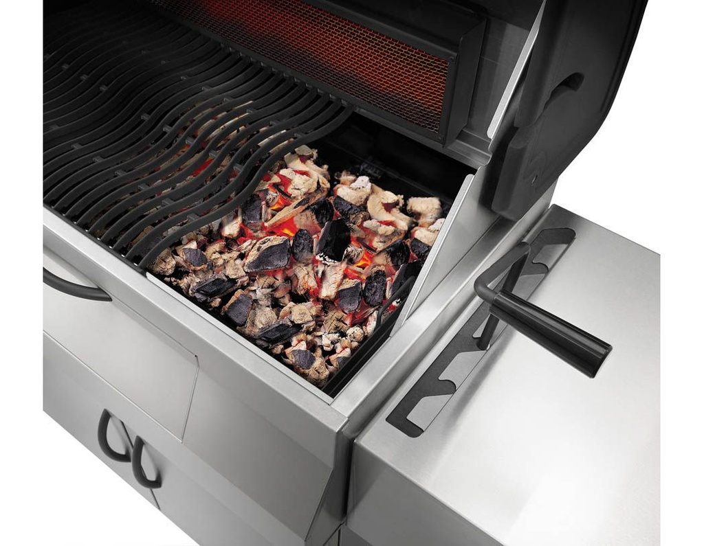 charcoal professional, rvs