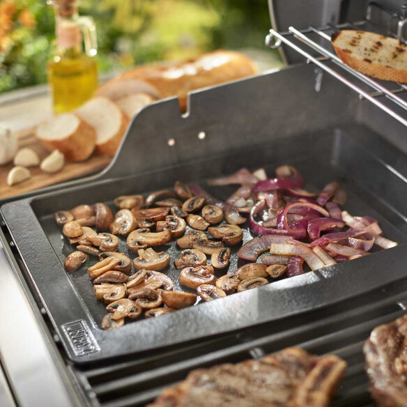 bakplaat genesis II 4 en 6 br