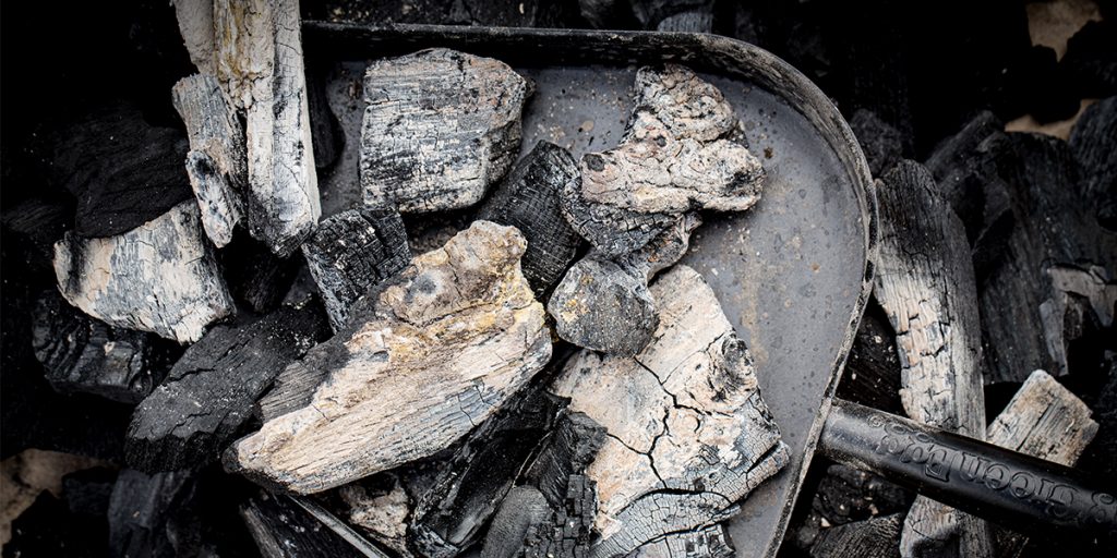 Pitt-Big Green Egg-Aspan-2