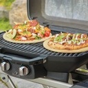 travelq pro285x met inklapbare wagen, gas