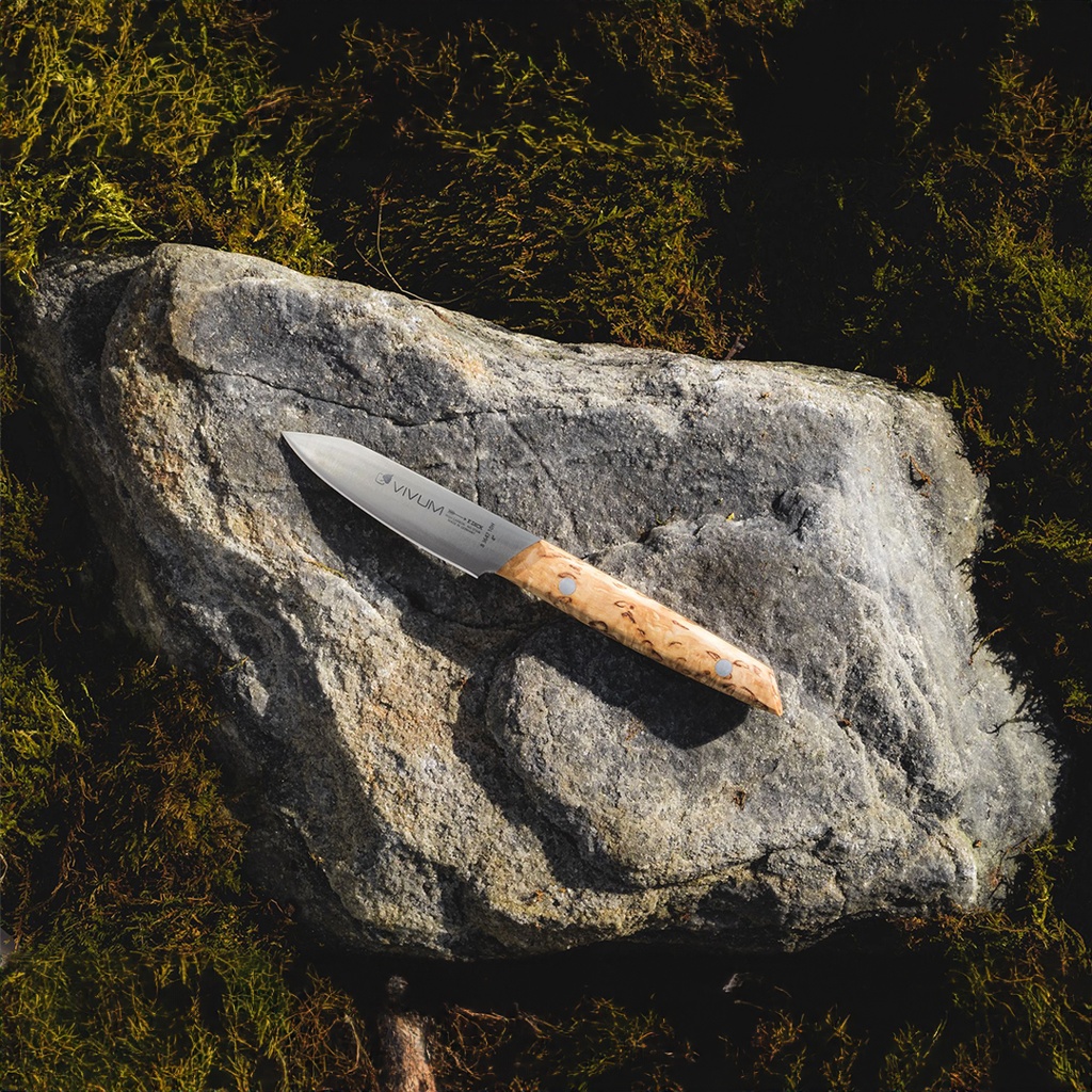 paring knife 10 cm vivum wooden handle