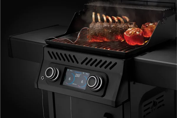 rogue EQ 365, elektrisch, mat zwart