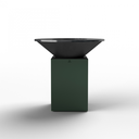 10th anniversary edition Chrome Green 100