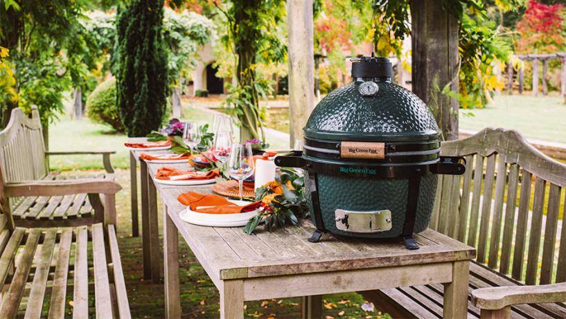 minimax big green egg 
