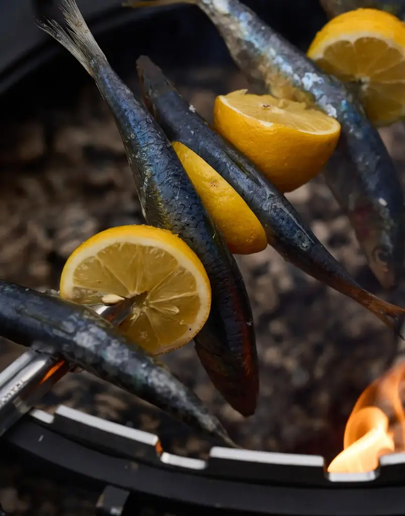 filtersquality75 (3).webp