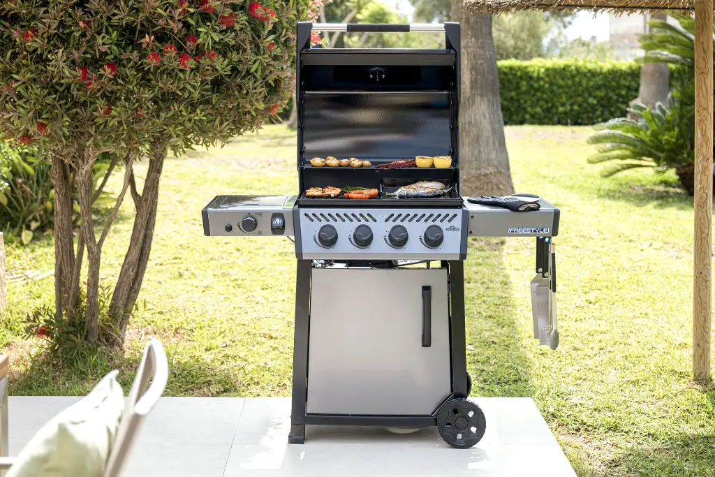 Freestyle425DSIB With Food1.webp