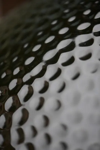 output.auto (1).webp