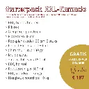 6.webp