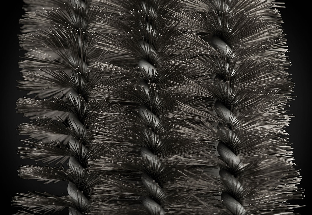 rvs parallel grillborstel + schraper