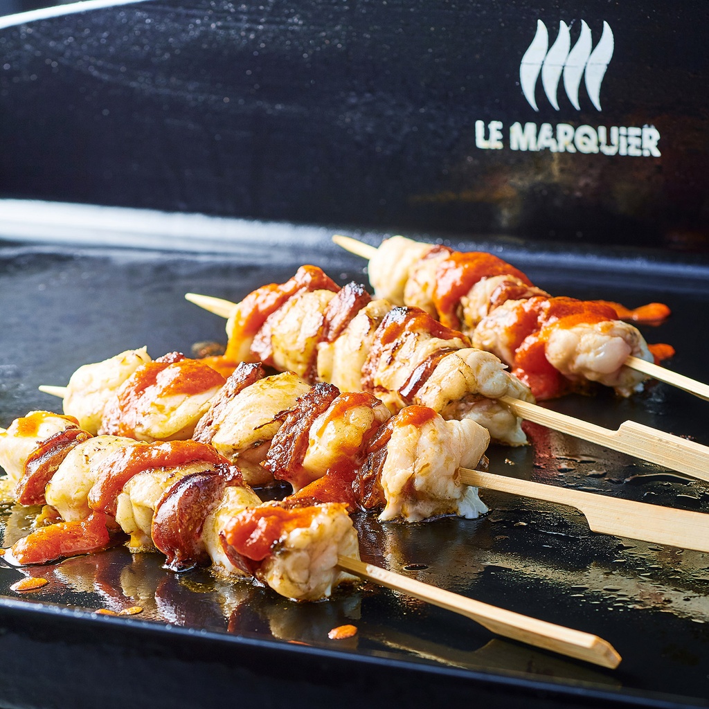 plancha signature allure electrique 260 inox