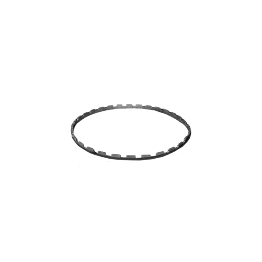 Horiz spiezen ring 100 